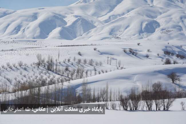 ارومیه زیر پوست برف