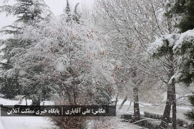 طراوت زمستانی ارومیه با اولین برف سال / تصاویر