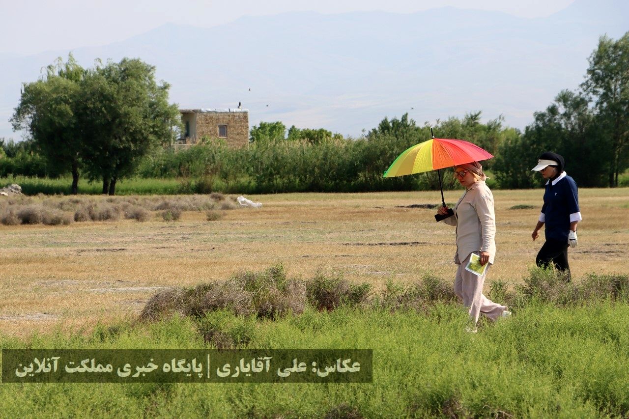  آغاز مسابقات گلف جایزه بزرگ آقایان جام چی‌چست و مرحله پایانی لیگ گلف بانوان کشور
