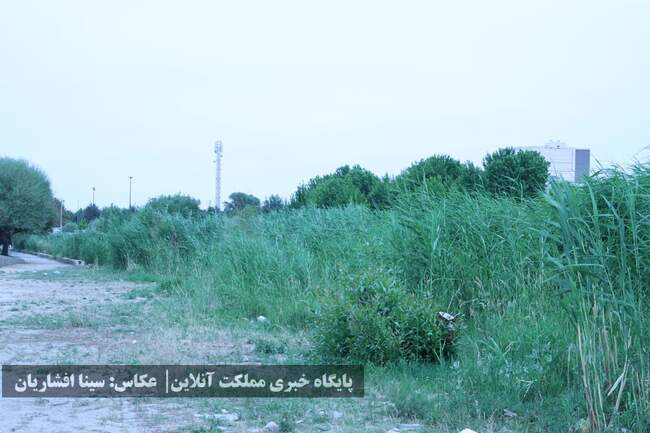 رودخانه‌ای به حال خود رهاشده در میان ارومیه