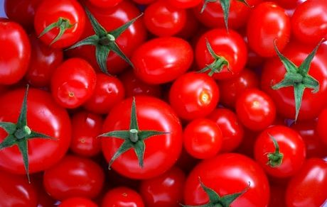 علت افزایش قیمت پیاز و گوجه فرنگی