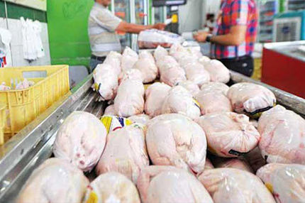 خرید مرغ در اصفهان با کارت ملی / هر اصفهانی ۶ کیلو در هفته