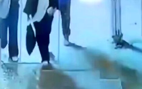 بازداشت عامل ضرب و شتم یک زن در گچساران