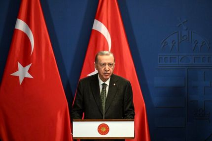 اردوغان، حادثه کرمان را تسلیت گفت