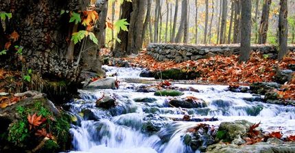 دره چهلمیر در استان خراسان رضوی تعطیل شد