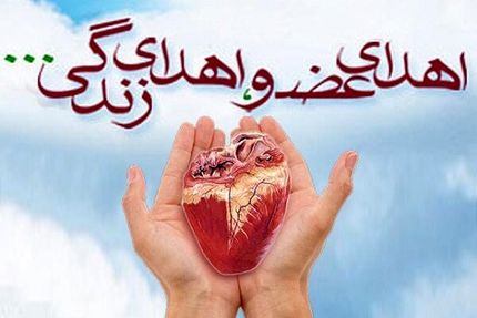 زندگی دوباره سه نفر با اعضای بدن کودک ۹ ساله