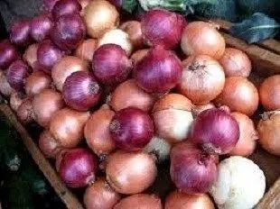 برگزاری دومین جشنواره گردشگری پیاز لاسجرد