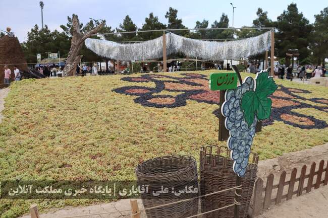 تصاویر | نهمین جشنواره انگور ارومیه 