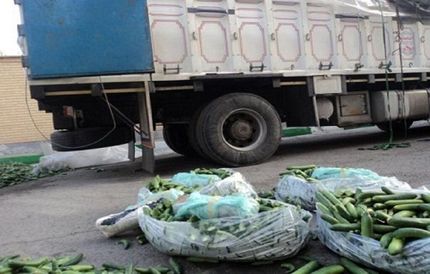 محموله خیار با طعم تریاک کشف شد