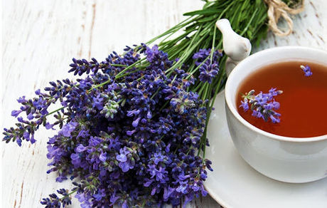 طبیعی آرام باشید