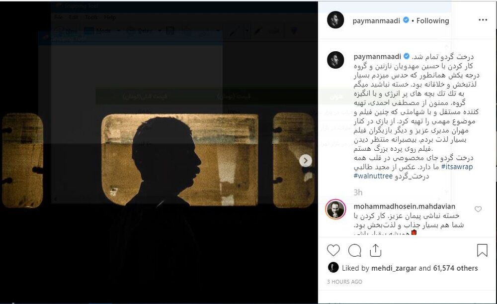 پیمان معادی،  فیلم درخت گردو