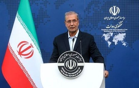 ربیعی: در حاشیه تجمعات حاضر بودم/ عزادار و سوگواریم