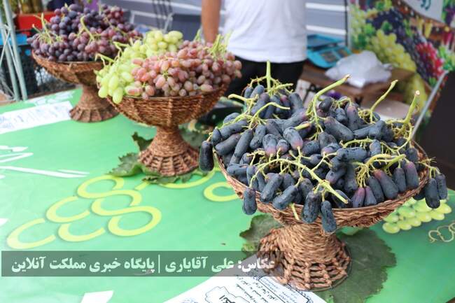 تصاویر | نهمین جشنواره انگور ارومیه 