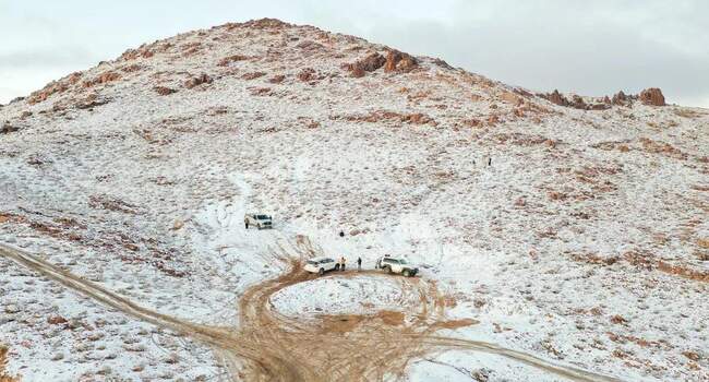 برف در شمال عربستان