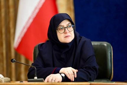 سخنگوی دولت: مصرف بالای گاز بدلیل سیاست‌گذاری اشتباه ماست