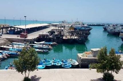 دستور قضائی برای تخلیه فوری اسکله شیلات بندر دیر صادر شد