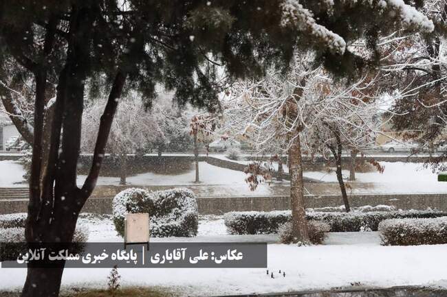 طراوت زمستانی ارومیه با اولین برف سال / تصاویر