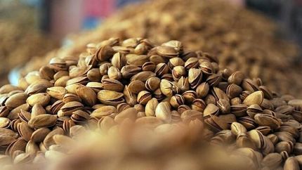 رویداد گردشگری پسته در بخش کورین شهرستان زاهدان برگزار خواهدشد