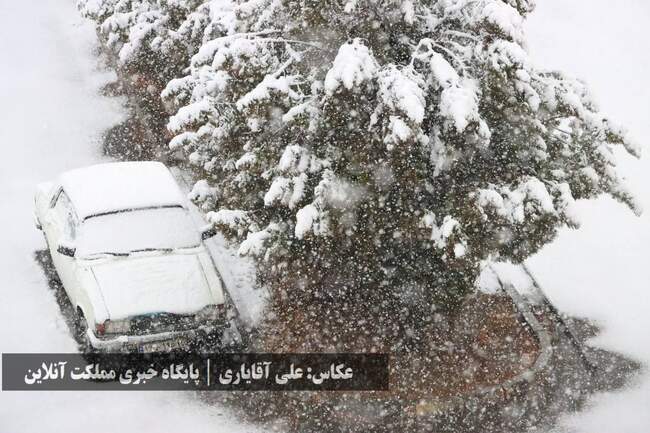 طراوت زمستانی ارومیه با اولین برف سال / تصاویر