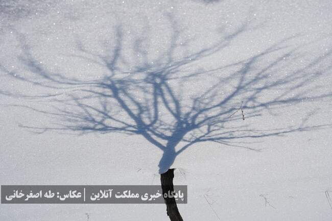 ارومیه زیر پوست برف
