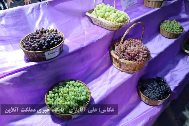تصاویر | نهمین جشنواره انگور ارومیه 
